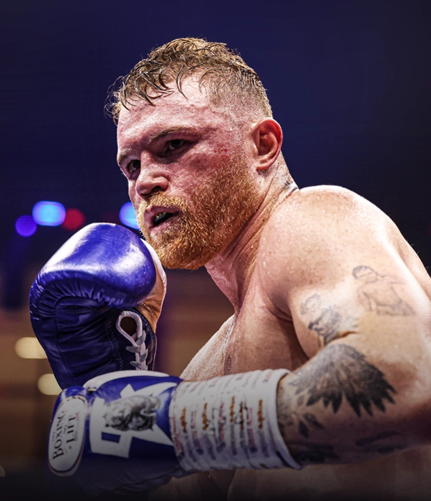 Boxer in a fighting stance